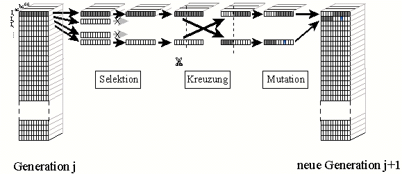 Schema eines Iterationsschrittes